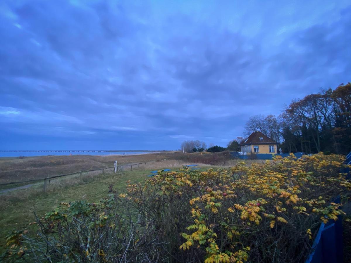Skaerven Beachfront Apartments And Cottage Nyborg Exteriér fotografie