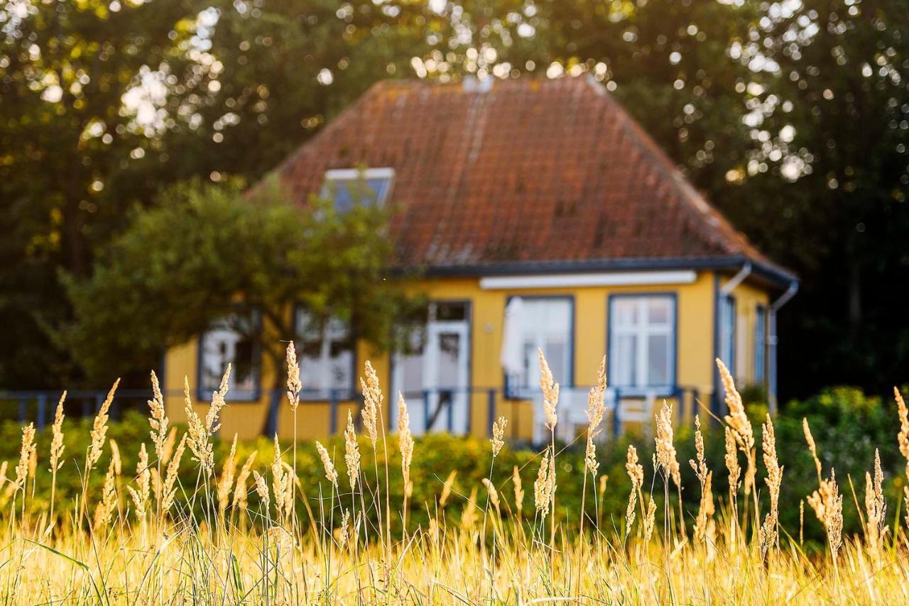 Skaerven Beachfront Apartments And Cottage Nyborg Exteriér fotografie